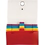 Staples® 7-Pocket Expanding File, Check, Clear, 14 1/2" Expansion~#|#~s0435292_sc7