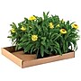 24" x 12" x 1.75" Corrugated Trays, 32 ECT, Brown, 50/Bundle (24122CT)~#|#~s0537422_sc7