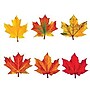 Trend Enterprises 5.5" and 6" Maple Leaves Classic Accents Variety Pack, 36 Pack (T-10958)~#|#~s0670887_sc7