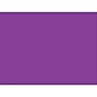 Tape Logic 5" x 7" Rectangle Inventory Label, Purple, 500/Roll~#|#~s0709043_sc7