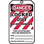 Accuform 5 3/4" x 3 1/4" PF-Cardstock Lockout Tag "DANGER..DO NOT REMOVE", Red/Black On White, 25/Pack (MLT418CTP)~#|#~s0791931_sc7