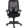 Raynor Eurotech Apollo Mesh High-Back Task Chair, Black, Adjustable Arms (MFHB9SL)~#|#~s0819085_sc7