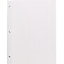 Staples® Reinforced Filler Paper, Graph Ruled, 4 Squares per Inch, 8-1/2" x 11", 12/Pack~#|#~s0837006_sc7
