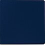 Staples Heavy Duty 2" 3-Ring Non-View Binder With Label Holder, D-Ring, Blue (55379/26419)~#|#~s0851313_sc7