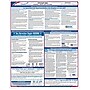 ComplyRight Federal Applicant Area Poster, Spanish (E0076S)~#|#~s1001817_sc7
