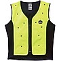 Ergodyne Chill-Its 6685 Dry Evaporative Cooling Vest, Lime, 4XL~#|#~s1025737_sc7