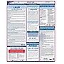 ComplyRight Federal Applicant Area Poster, Spanish (E0076S)~#|#~s1047527_sc7