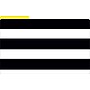 Barker Creek Buffalo Plaid & Wide Stripes File Folders, 1/3-Cut Tab, Legal Size, Assorted Colors, 9/Pack (BC2507)~#|#~s1077819_sc7
