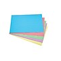 Staples® 4" x 6"  Heavyweight Assorted Pastel Index Cards, 100/Pack (50999)~#|#~s1084673_sc7