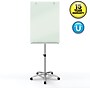 Quartet Infinity Magnetic Glass Dry-Erase Mobile Presentation Whiteboard Easel, Silver Base, 3' x 2' (ECM32G)~#|#~s1096305_sc7