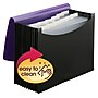 Smead Plastic Accordian File, 12 Pockets, Letter Size, Purple/Black (70862)~#|#~s1184694_sc7