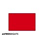 Astrobrights Colored Paper, 24lbs., 11" x 17", Re-Entry Red, 500 Sheets/Ream (21553/22553)~#|#~s1191418_sc7