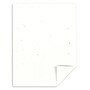 Astrobrights 8.5" x 11" Multipurpose Paper, 24 lbs., 87 Brightness, 500 Sheets/Ream (22301)~#|#~s1191486_sc7
