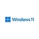 Windows 11 Desktop Computers