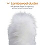 Coastwide Professional™ Extendable Lamb Wool Duster, Gray (CW56799)~#|#~s1223781_sc7