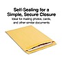 Staples Self Seal #13 1/2 Kraft Catalog Envelope, 10" x 13", Brown, 250/Box (ST486933-CC)~#|#~s1224504_sc7