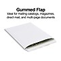 Gummed Catalog Envelopes, 10"L x 13"H, White, 250/Box (486954/17040)~#|#~s1224523_sc7