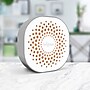 AIR FRESHENER  CITRUS BURST  8~#|#~sp103679071_sc7