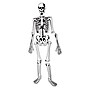 Learning Resources Skeleton Foam Floor Puzzle (LER3332)~#|#~sp106137133_sc7