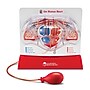 Learning Resources Pumping Heart Model (LER3535)~#|#~sp106137518_sc7