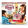 Learning Resources Pumping Heart Model (LER3535)~#|#~sp106137521_sc7