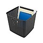 Advantus Extra Large Plastic Basket with Handles, Black (37519)~#|#~sp108325389_sc7