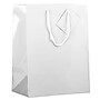 JAM Paper Glossy Gift Bag with Rope Handles, 10" x 5" x 13", White, 3 Bags/Pack (673GLWHB)~#|#~sp109345404_sc7