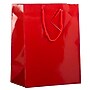 JAM Paper Glossy Gift Bags with Rope Handles, 10" x 13", Red, 3 Bags/Pack (673GLREB)~#|#~sp109345434_sc7