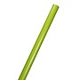JAM Paper Wrapping Paper, 25 Sq. ft. x 30", Lime Green (165S25li)~#|#~sp110983825_sc7