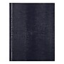 Rediform Executive Journal Book, 9 1/4" x 7 1/4", College/Margin Ruled, 150 Sheets/Book~#|#~sp111769927_sc7