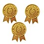 Great Papers! Star Burst Certificate Seals, 2" x 1", Gold, 48/Pack (903418)~#|#~sp114005176_sc7
