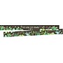 Barker Creek Double-Sided Border, 35" x 3", Prickles, 48/Pack (4051)~#|#~sp115143408_sc7