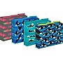 Barker Creek Sea & Sky File Folders, Computer Paper and Library Pockets, 1/3-Cut Tab, Letter Size, Multicolor, 92/Set (4102)~#|#~sp115349986_sc7
