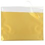 JAM Paper 9.5 x 12 Booklet Foil Envelopes with Self-Adhesive Closure, Gold, 100/Pack (01325661B)~#|#~sp116347485_sc7