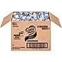 Coffee mate French Vanilla Liquid Creamer, 0.38 oz., 360/Carton (NES48978)~#|#~sp118163489_sc7