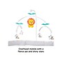 Fisher-Price Soothing Motions Bassinet, Multicolor (DPV72)~#|#~sp122516785_sc7