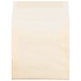 JAM Paper 5.5 x 5.5 Square Translucent Vellum Invitation Envelopes, Spring Ochre Ivory, 25/Pack (1591909)~#|#~sp122682021_sc7