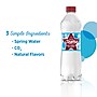 Ozarka Simply Bubbles Sparkling Spring Water, 16.9 oz., 24/Carton (12349548)~#|#~sp124210760_sc7