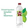 Ozarka Sparkling Water, Zesty Lime, 16.9 oz. Bottles, 24/Carton (12349550)~#|#~sp124210768_sc7