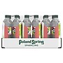 Poland Spring Raspberry Lime Flavored Sparkling Water, 16.9 oz., 24/Carton (12349573/122058)~#|#~sp124211203_sc7