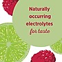 Poland Spring Raspberry Lime Flavored Sparkling Water, 16.9 oz., 24/Carton (12349573/122058)~#|#~sp124211205_sc7