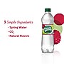 Poland Spring Raspberry Lime Flavored Sparkling Water, 16.9 oz., 24/Carton (12349573/122058)~#|#~sp124211206_sc7
