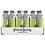 Poland Spring Zesty Lime Flavored Sparkling Water, 16.9 oz., 24/Carton (12349570/122058)~#|#~sp124211211_sc7