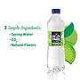 Deer Park Sparkling Water, Zesty Lime, 16.9 oz. Bottles, 24/Carton (12349502)~#|#~sp124211232_sc7