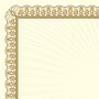 Great Papers Value Certificates, 8.5" x 11", Metallic Gold, 100/Pack (961035S)~#|#~sp124313847_sc7