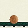 Great Papers Cambridge Certificates, 8.5" x 11", Beige/Green, 10/Pack (2020006)~#|#~sp124313974_sc7