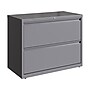 Hirsh HL10000 Series 2-Drawer Lateral File Cabinet, Locking, Letter/Legal, Arctic Silver, 36" (23744)~#|#~sp126585445_sc7