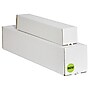 Tape Logic 1" Circle "NOV" Month of the Year Labels, Fluorescent Green, 500/Roll~#|#~sp127287404_sc7