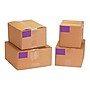 Tape Logic 2" x 4" Rectangle Inventory Label, Purple, 500/Roll~#|#~sp127288598_sc7