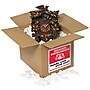 Tape Logic Labels, "Delicate Instruments - HWC", 4" x 4", Red/White/Black, 500/Roll~#|#~sp127289608_sc7